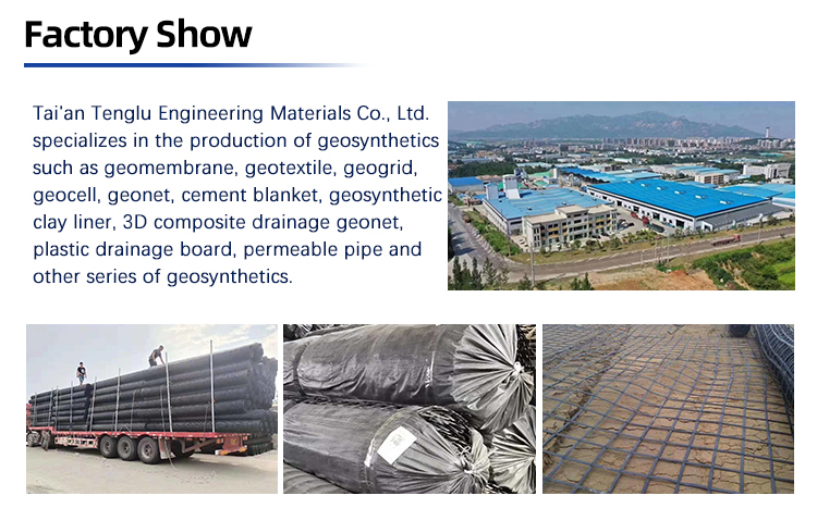 Easier Construction of 1-6m Soil Stabilization with Black Steel PP Composite Geogrid
