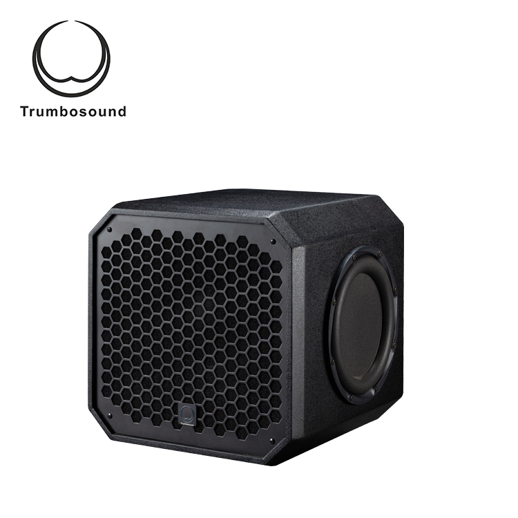 12 inch active bass loudspeaker home theater speaker indoor subwoofer speaker TR12BA