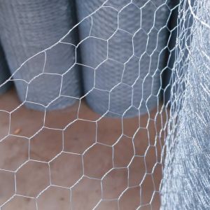  BWG21X3/4&quot; Galvanized Hexagonal Wire Mesh Roll Chicken Net For For Chicken Coop Manufactures