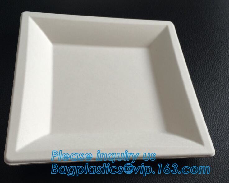 Meal Prep Containers Free Sample Bento Lunch Box Biodegradable Food Container Plastic Wheat Straw Lunch Box bagplastics