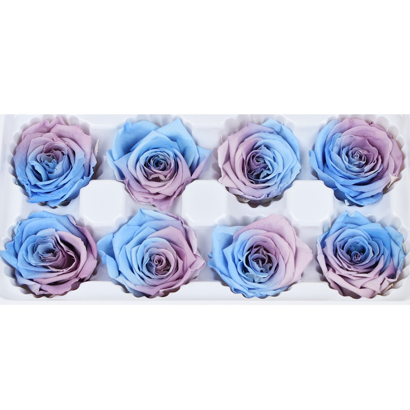 A Grade Preserved Rose Heads Customized Color Eternal Life Wedding Decoration