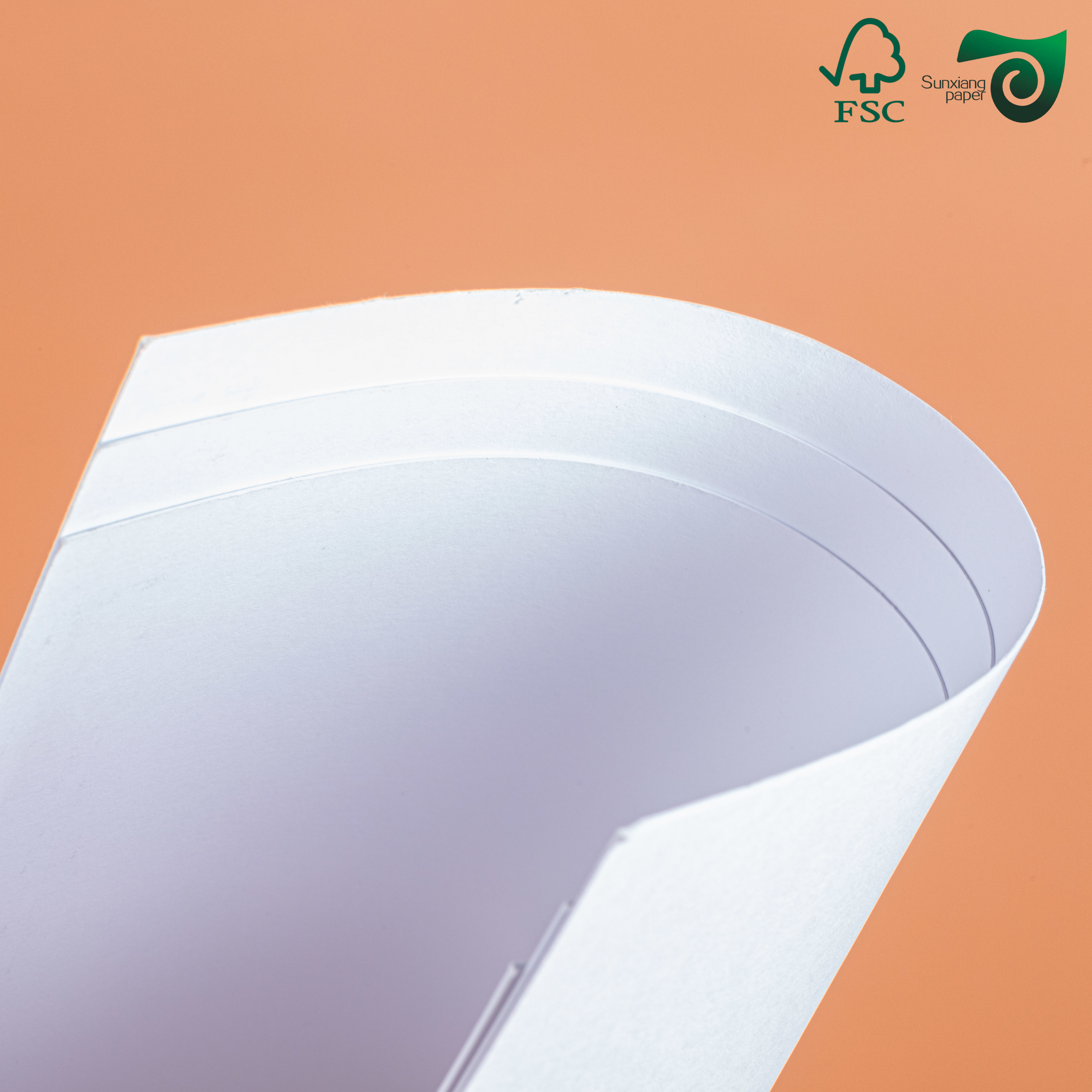 FSC 350gsm C1S Food Grade Freezer Paper Roll White Coated C1S Paperboard