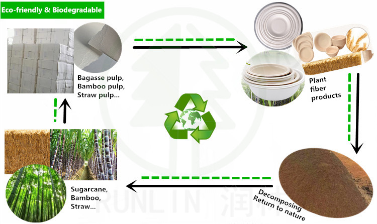 Eco-friendly Products Easy Takeaway Hinged Clamshell Containers