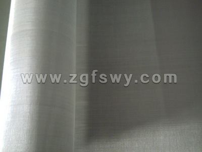 Stainless Steel Wire mesh