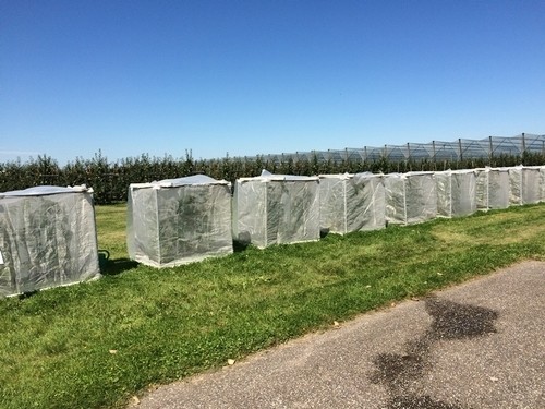 Professional Insect Mesh Netting Anti - Uv Heat Resistance For Garden