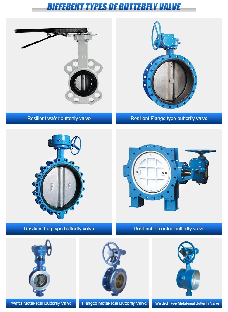 OBM Customized Metal Seat Standard Specification Drain Valve for Butterfly Structure