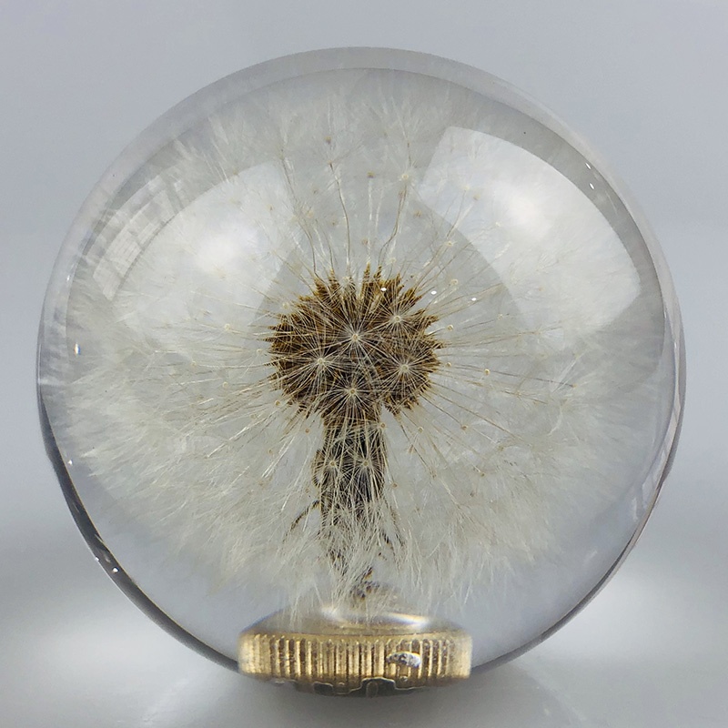 70mm Crystal Resin Shift Knob Real Flowers Dandelion Shift Knob