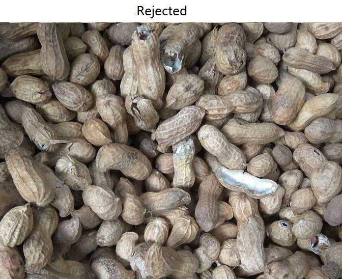High Resolution pistachio Cashew Nut Color Sorter