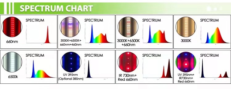Indoor 30w 60cm T8 LED Grow Bar Light For Tissue Culture Chambers