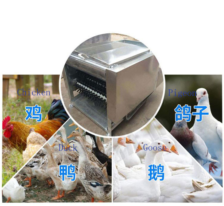 Small Footprint De Feathering Machine Chicken Defeathering Machine For Farms