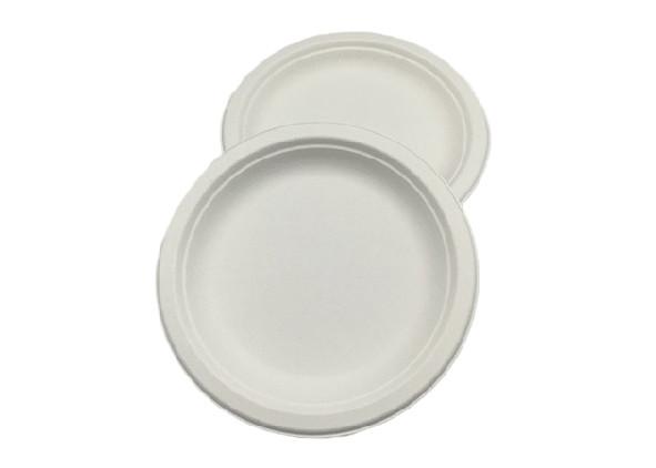 Eco Friendly Disposable Sugarcane Bagasse 7 inch Food Dinnerware Round Cake