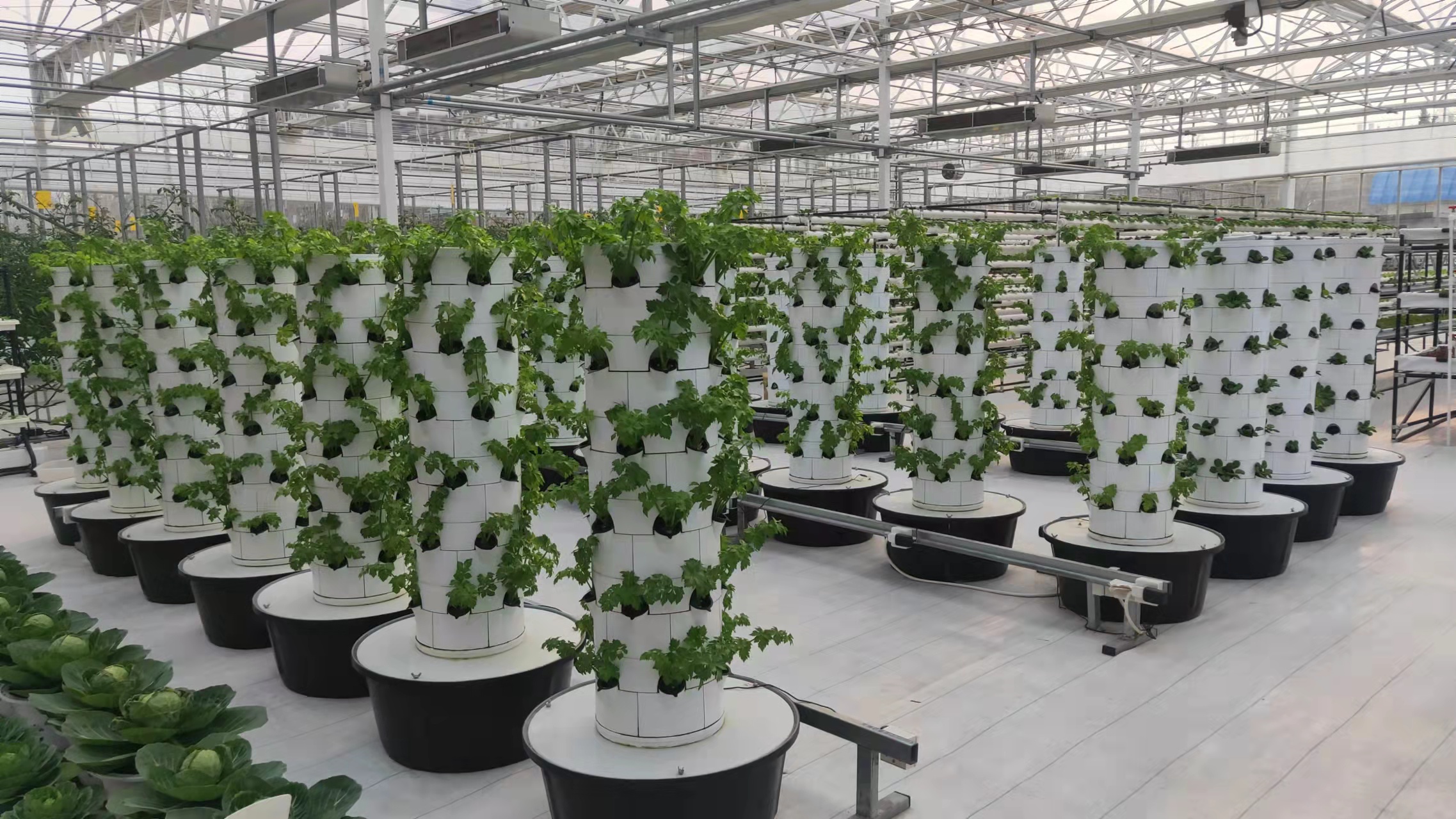 Vertical Hydroponic Aeroponic Growtower Sustainable Hydroponic System