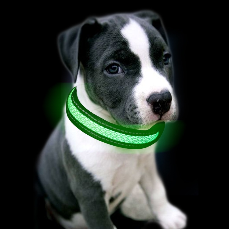 C910 New Pet Product Customs Iluminous Nylon Printed Flashing LED Usb Rechargeable Light Up Led Dog Collar