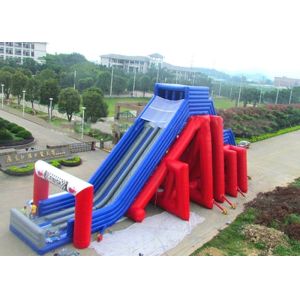 Custom Giant Inflatable Slide With Lovely Theme Hand Painting