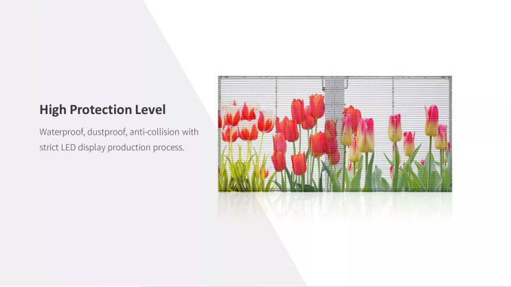 High Transparency 3.91mm Transparent LED Display Screen Indoor Glass Window