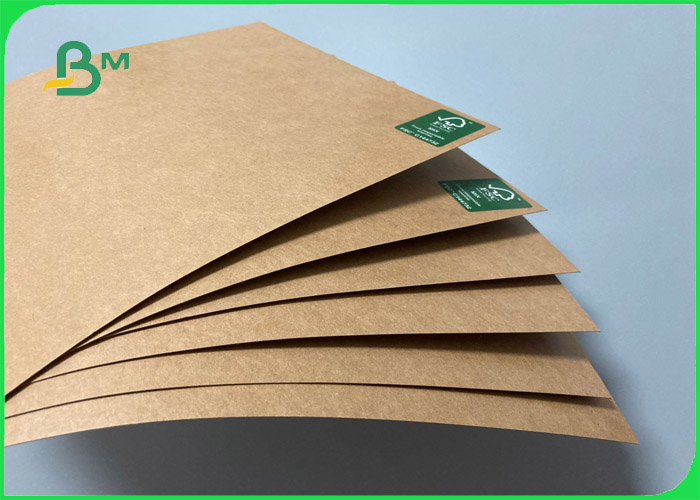100% Plastic - Free Brown Kraft Cup Paper For Making Disposable Coffee Cup