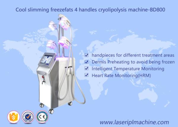 4 Handle Weight Loss Cryolipolysis Machine / Fat Freezing Vacuum Cavitation