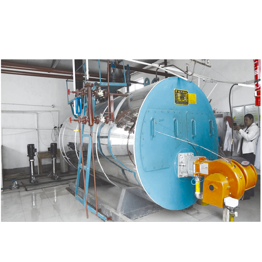 slaughterhouse Diesel Steam Boiler High Efficiecny For scalding machine For heating