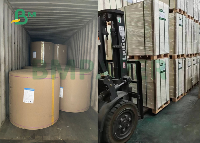 75gsm 80gsm 90gsm Natural White Kraft Paper For Food Paper Bag 65 x 100cm 