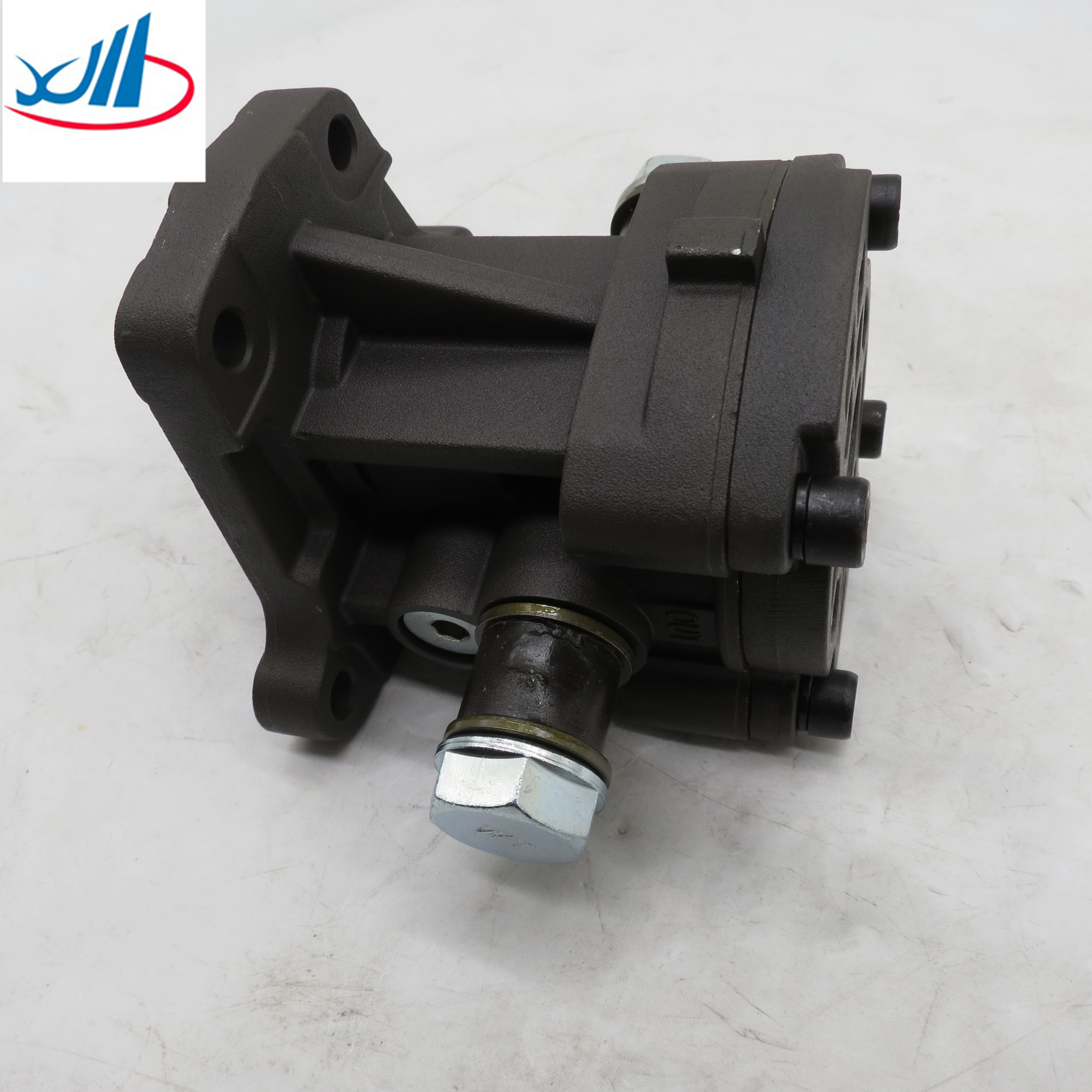 Trucks And Cars Engine Parts Oil Pump 2445110579