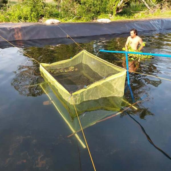 Direct 0.5mm Eco-Friendly HDPE Plastic Geomembrane for Fish Pond Roll Length 50