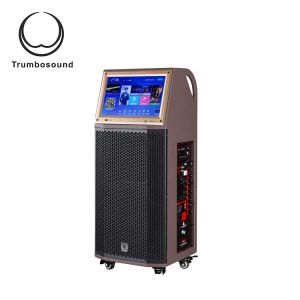 Wifi 12'' Mobile Battery Powered Loudspeaker With Wheels Handles Screen