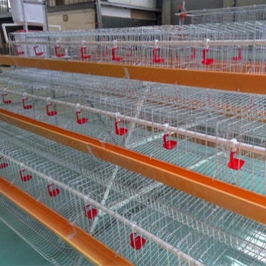 chicken layer cage 