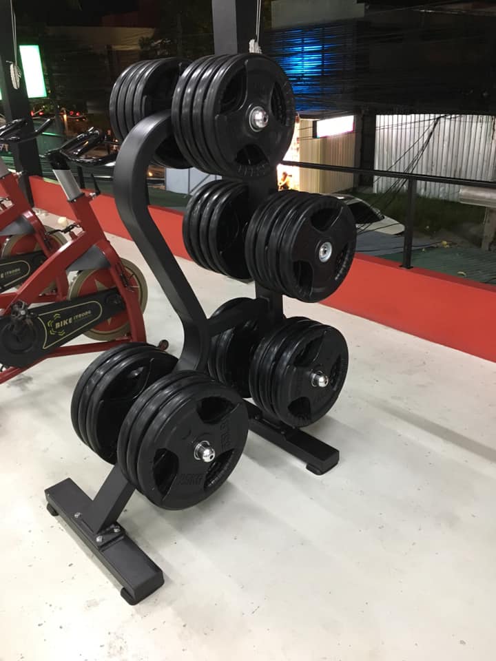 Befreeman Hot Sale Gym Fitness Equipment Weight Plate Rack
