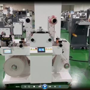 China Smart-210 Servo Motor Flexo Rotary Die Cutter Computerized on sale