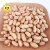 Buy cheap Natural healthy OEM Roasted Salted Soya Bean Snacks Handpicked Vegan Beans from wholesalers