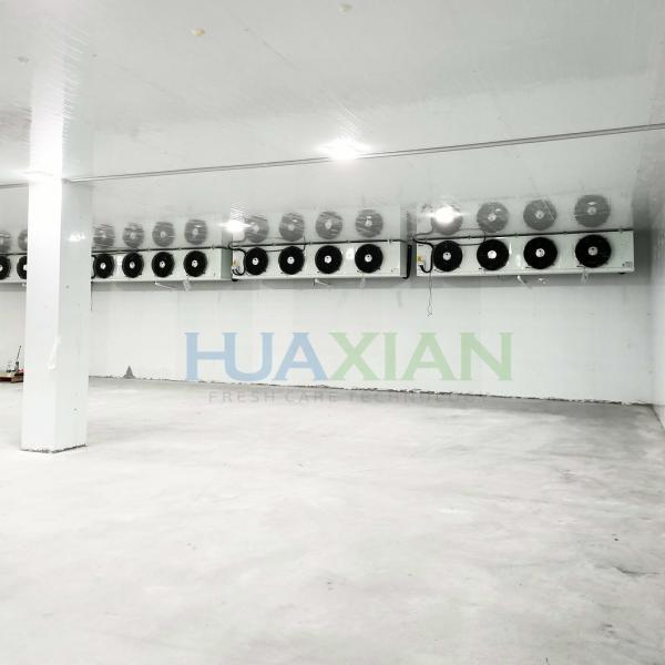 Industrial Logistics Fish/Seafood/Meat/Chicken Freezer Cold Room Construction