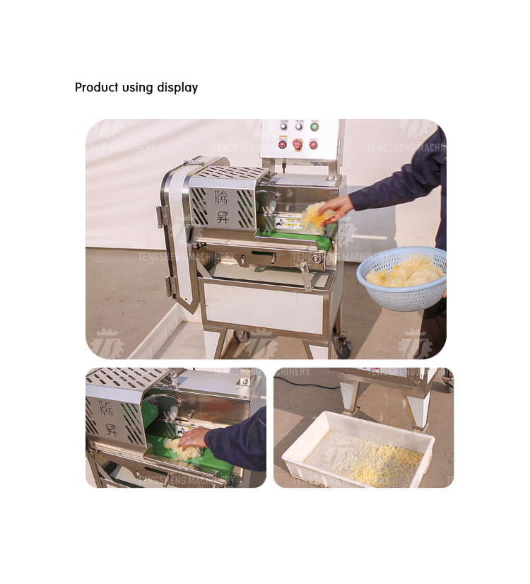 1200KG/H Vegetable Processing Machine Agricultural Automatic Fruit Cutter