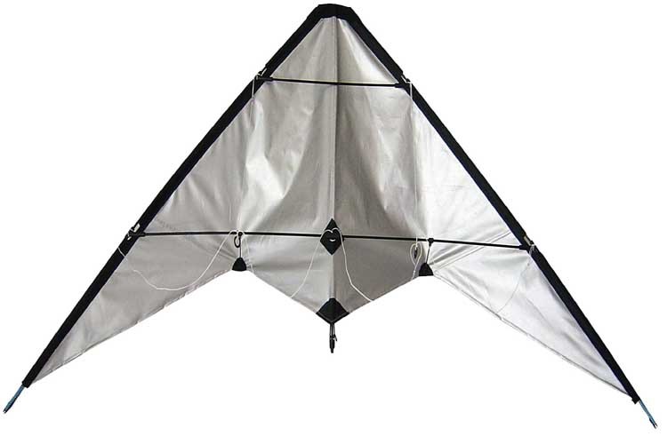 Variability of the diamond stunt kite fish sharp style with beach