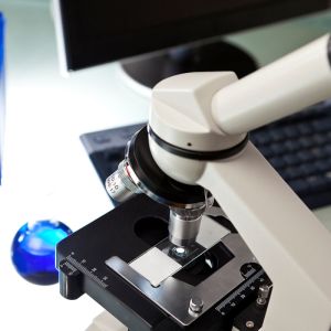 Authoritative Lamp Lab Test Export Testing And Certification Services