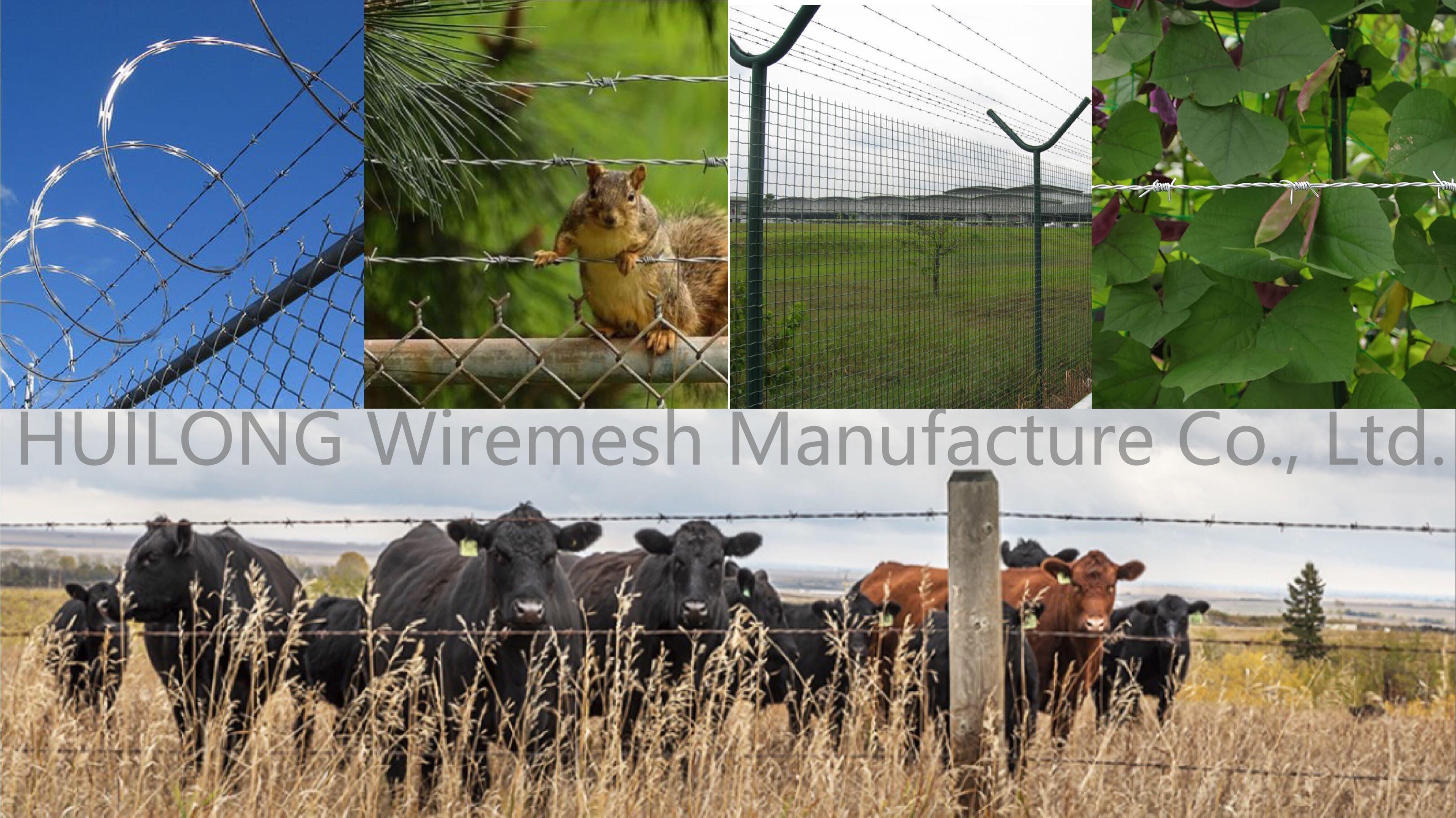 4/15 Hot Dipped Galvanized Razor Barbed Wire 100 Metres rust resistance