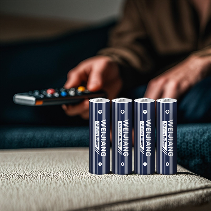 Wholesale Customized 1.5V AA AAA Alkaline Primary Battery R06 R03