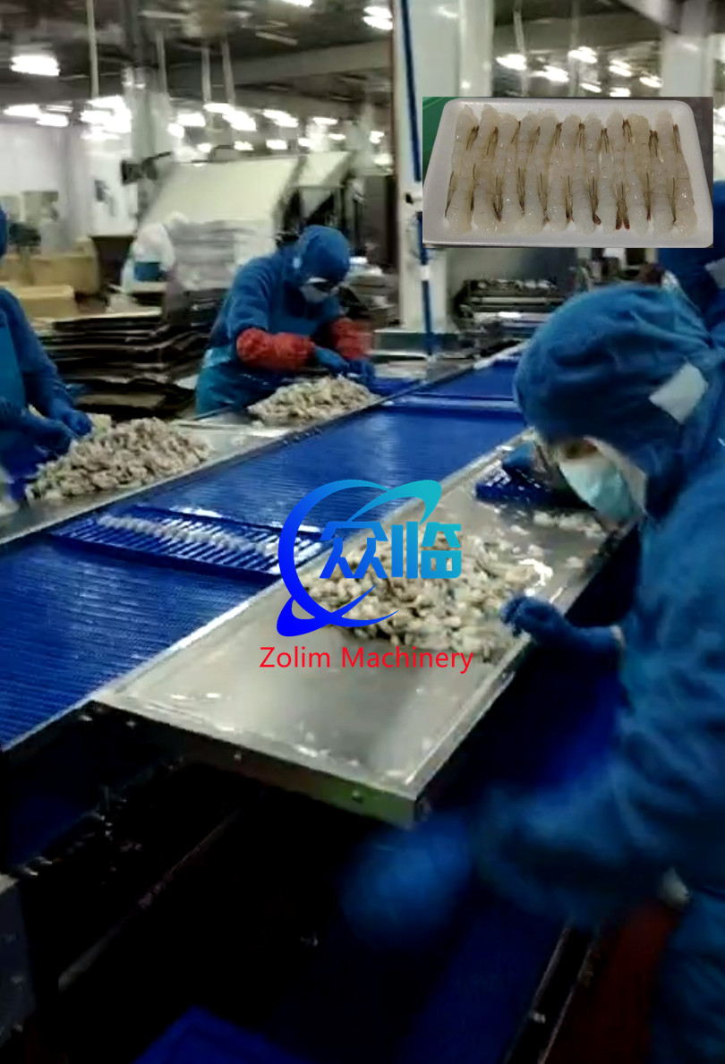 New Design Shrimp Stretching Line, Tempura Processing Line, NOBASHI Processing