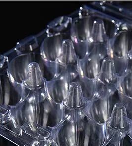 18 Hole Blister Clamshell Hinged Egg Plastic Packaging Disposable Quail Egg Cartons