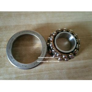  F-236120.13 F-239513.01 F-239495.04 BMW Differential Bearing Kit Manufactures