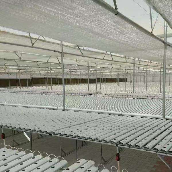 Water Pipe Agricultural Greenhouse Solution with Film Cover and US 20/Square