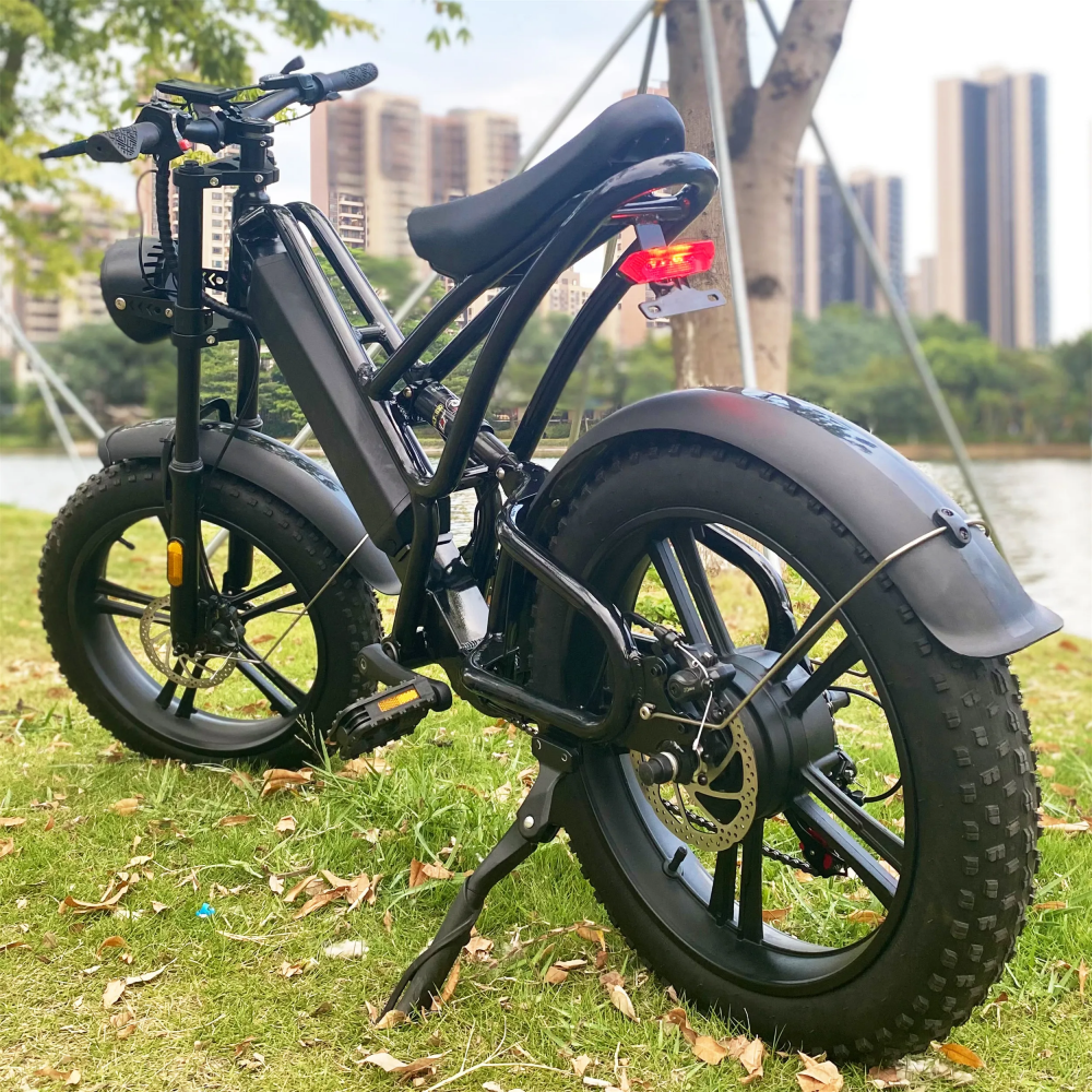 1000W 20 Inch Electric Fat Tire Bike 48V 16Ah Full Suspension Electric Bicycle