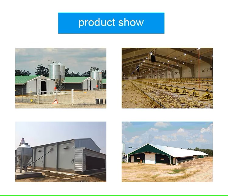 Steel Industrial-Style Light Sandwich Panel Prefabricated Warehouse for Gymnasium