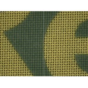 GIS Laser 1010V - Redefining Precision in Computer-to-Screen Imaging