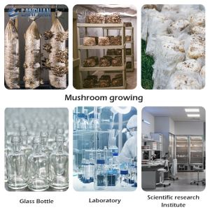 Mushroom Sterilizing Equipment Substrate Autoclave Machine For Mushroom Spawn