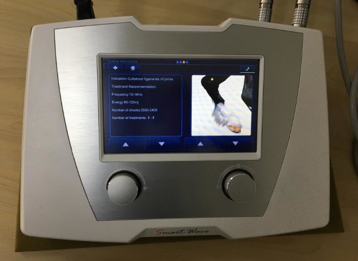 Physical Therapy Shock Machine For Chronic Back Pain / Tendon Injury