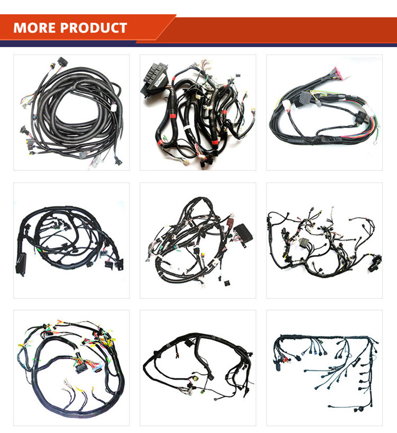 Customize Electric Vehicle Cable Power Transmission Wiring Harness