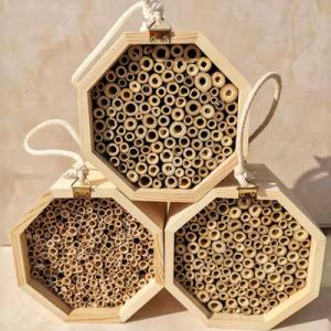 China Wall Hanging Honey Bee Wooden Box 15cm*15cm*9cm Bee Keeping House on sale