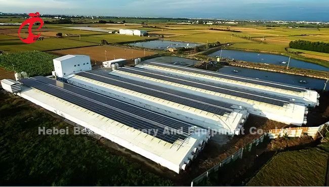 Hot dip Galvanized Poultry Battery Cage System For Layer Farm Sandy