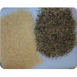 1 - 4t/H Grain Color Sorter Machine Highest Efficient Sorting