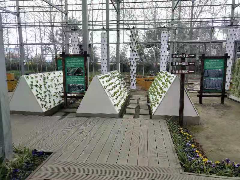 Commercial Aeroponics Hydroponic System For Greenhouse Vegetables Growing
